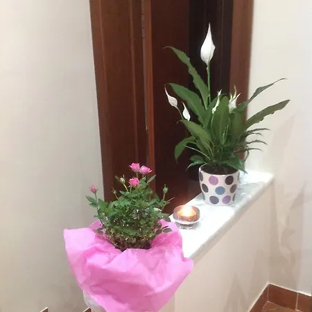 Le Pomelie Dell'etna 3* Riposto