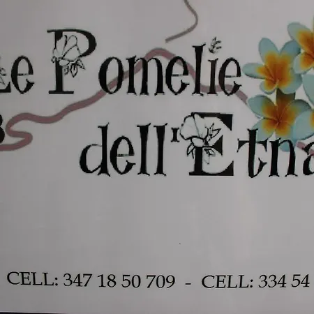 Le Pomelie Dell'etna Bed & Breakfast